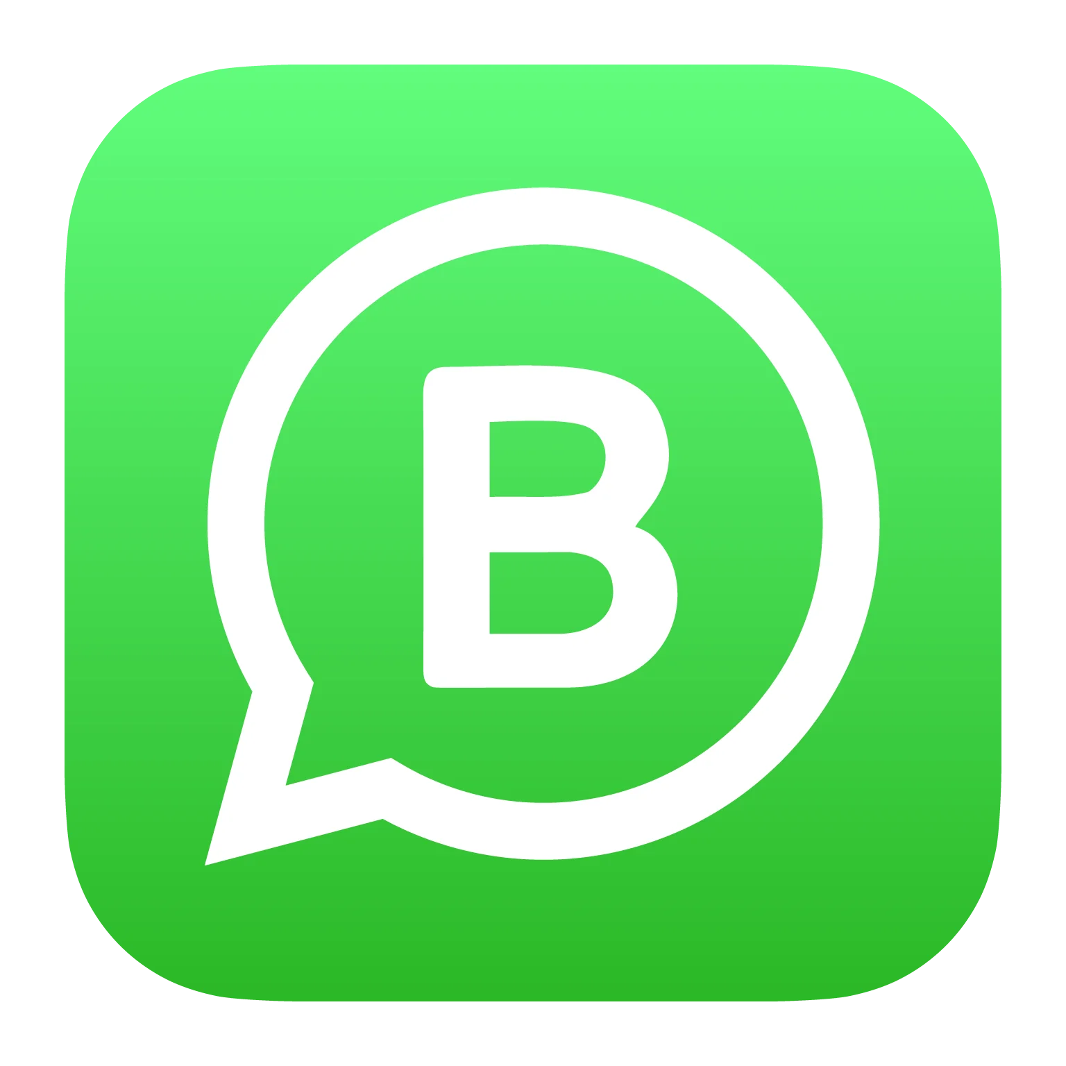 WhatsApp Icon